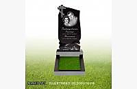 Образец памятника из гранита "Андромеда 1"