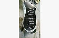 Образец эксклюзивного памятника "Лира 4" из черного гранита - миниатюра 2