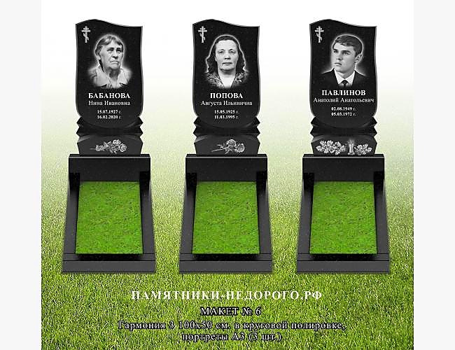 Памятник для одиночной могилы "Гармония 3" - фото 10