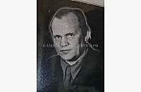 Образец готовой работы "Век широкий 2" - миниатюра 3